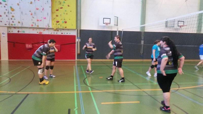 Gebietsentscheid Hallenvolleyball 2015