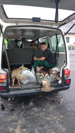 Projektmarathon 2015